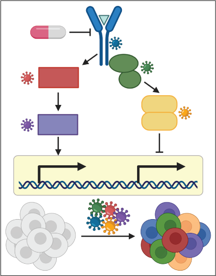Image depicts an example of an experiment to define the contribution of individual genes to a therapy induced response. Top depicts a signaling pathway targeted by a drug. Colors depict individual components and viruses of the same color encode CRSIPR guide RNAs targeting that pathway component. Bottom depicts transduction of Cas9 expressing cells with guide RNAs against pathway components. 